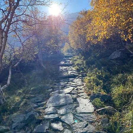 Villa Pod Seidorfem Sosnówka