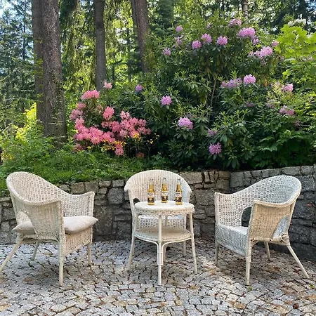 Pod Seidorfem Sosnówka