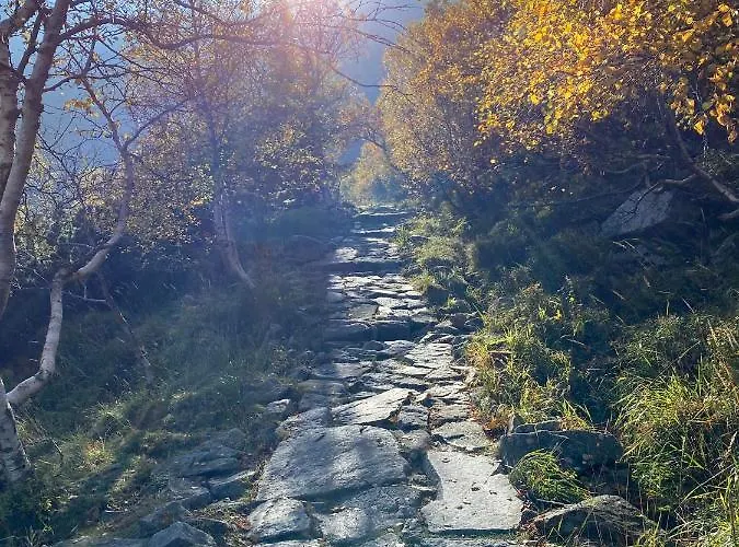 Vila Pod Seidorfem Sosnówka