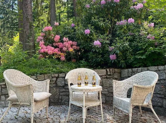 Pod Seidorfem Sosnówka